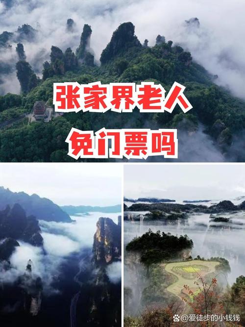 张家界旅游70岁老人免门票吗