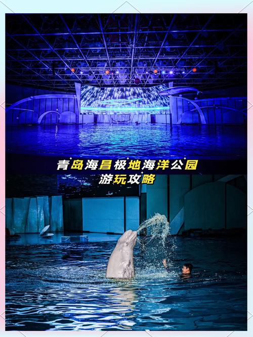 青岛海昌极地海洋公园旅游攻略