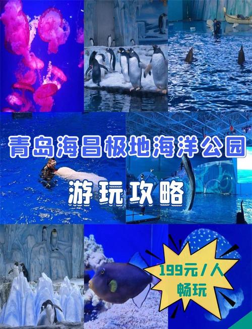 青岛海昌极地海洋公园门票多少钱