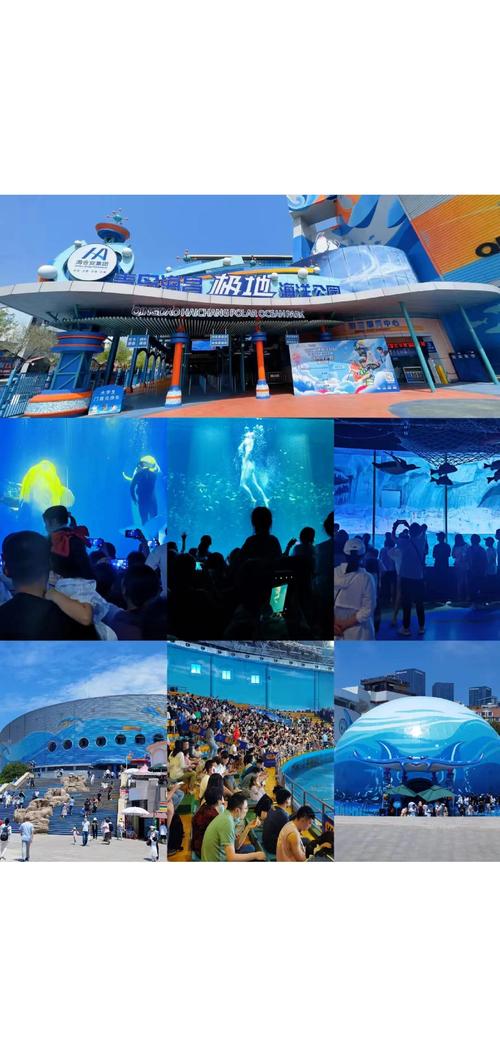 青岛海昌极地海洋世界门票