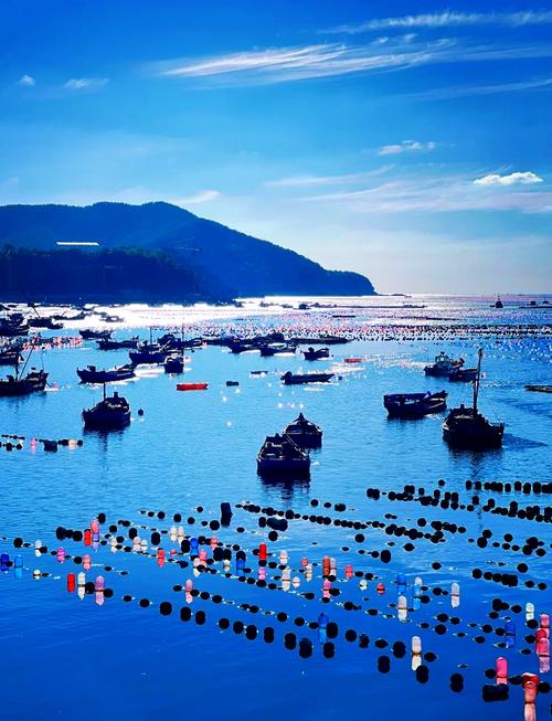 请教旅游达人:关于8月初去大连旅游的问题。