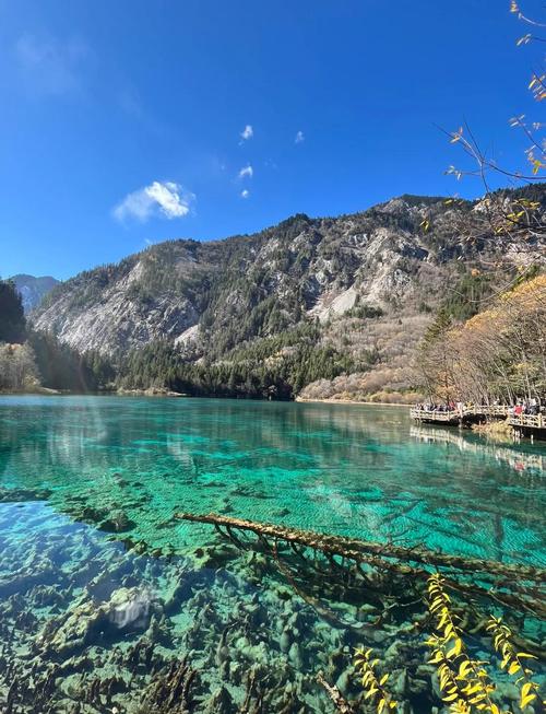 九寨沟景区一天能游完吗,九寨沟游玩一天够吗