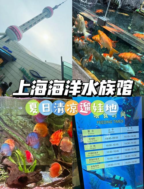 青岛海底世界门票优惠政策2024