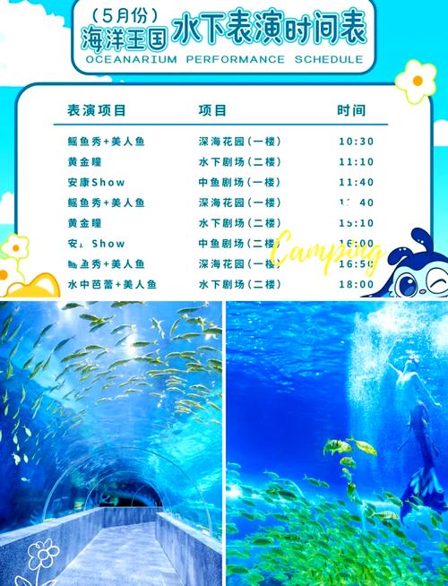 徐州海底世界门票费用