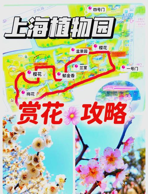 上海植物园保姆级游玩攻略