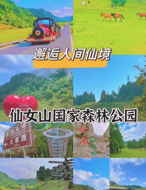 仙女山景区电话