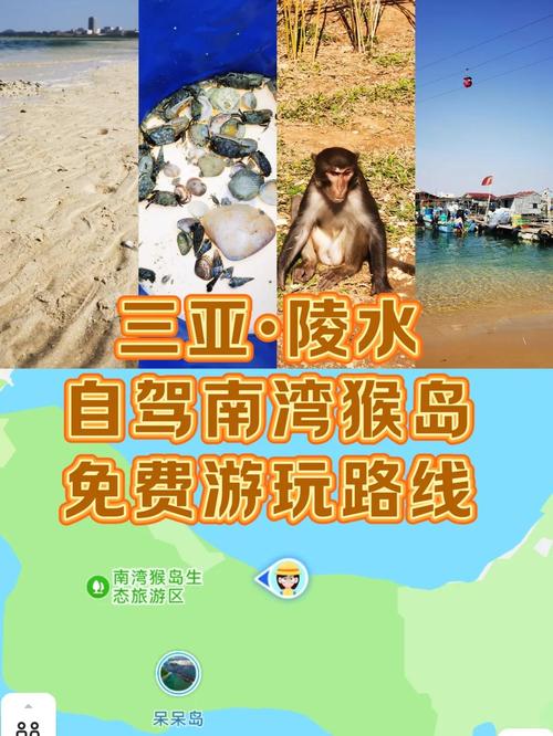 三亚猴岛好玩还是森林公园好玩