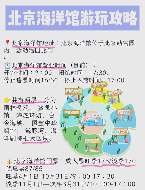 北京海洋馆下午几点有表演,精彩海洋世界演出时间安排