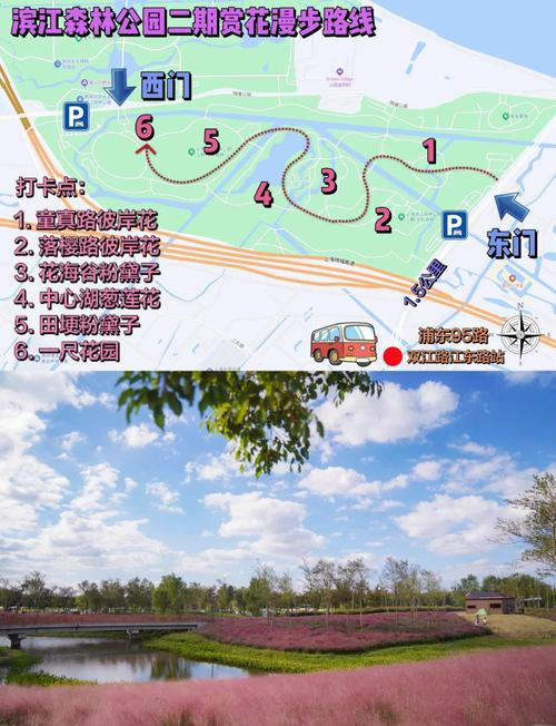 上海公园哪个免费又好玩,最全攻略,让你轻松玩转上海公园