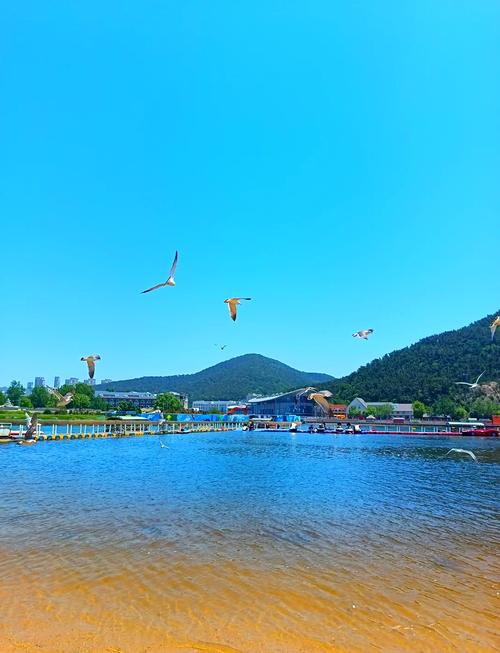 大连儿童必去的10个地方