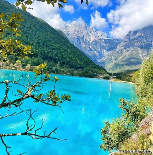 我家人要去云南旅游,请问去云南跟团有没有不带去商店购物的团,大不了...