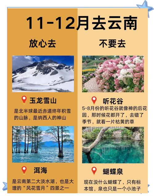 去云南旅游是跟团好还是自由行好