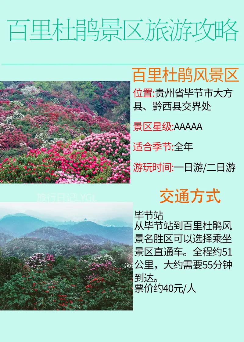 贵州市百里杜鹃天气预报