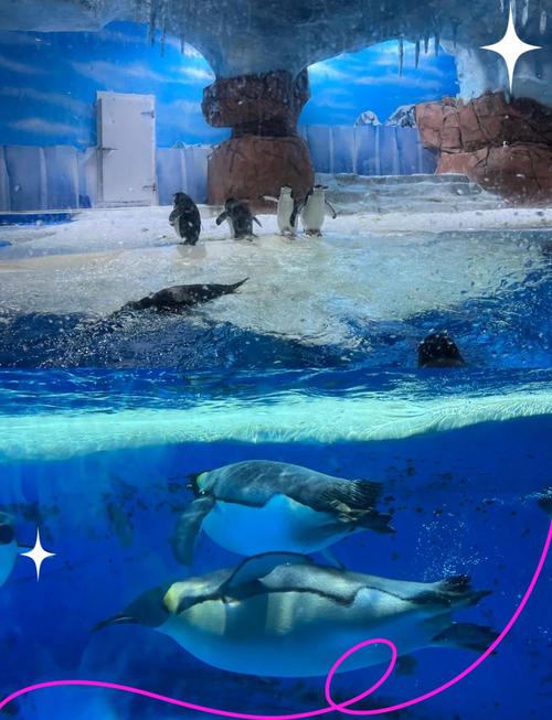 成都海昌极地海洋世界门票多少