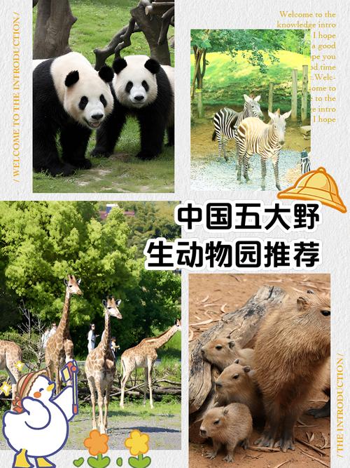 野生动物园排名,中国最大野生动物园排名