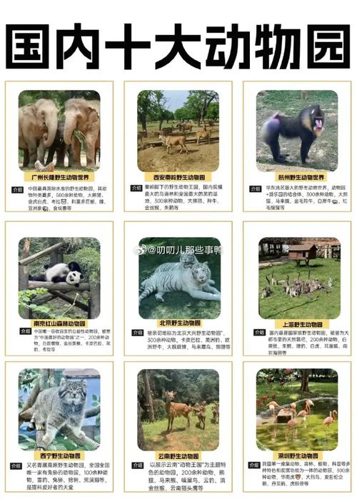 国内动物园排名是怎样的