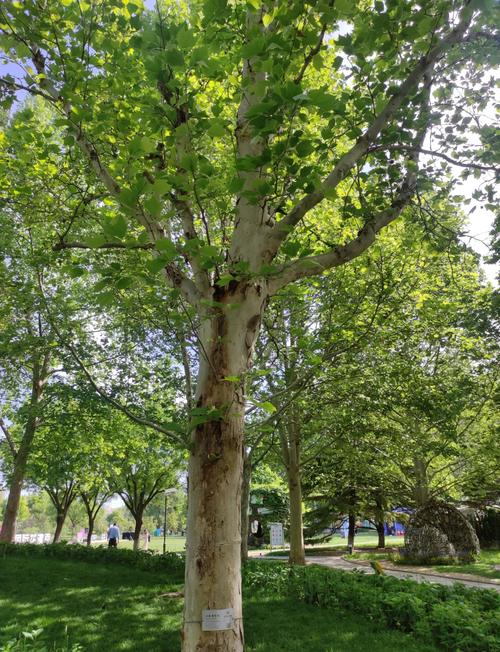 一睹国内壮阔的美景,国内这21处地质奇观不容错过,美到失语