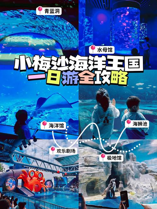 深圳科技馆门票多少钱,深圳海洋世界门票多少钱一张