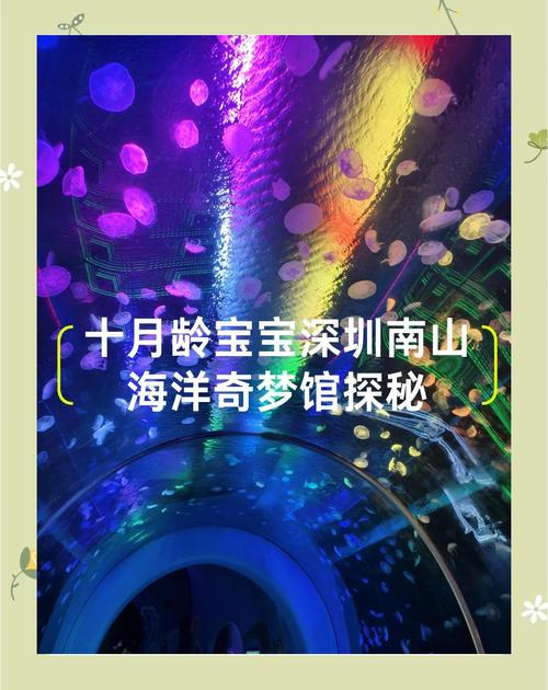 深圳比较好三个海洋馆