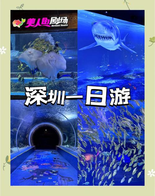 深圳海洋世界门票多少钱?