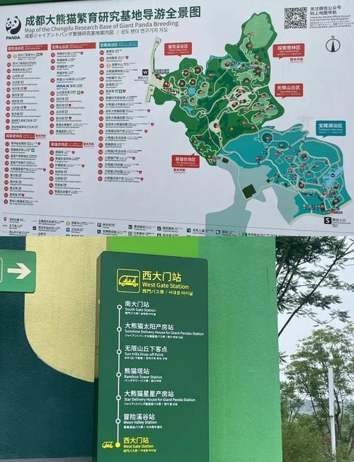 成都大熊猫基地攻略
