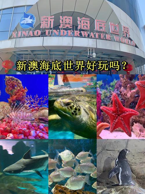 秦皇岛新澳海底世界旅游攻略