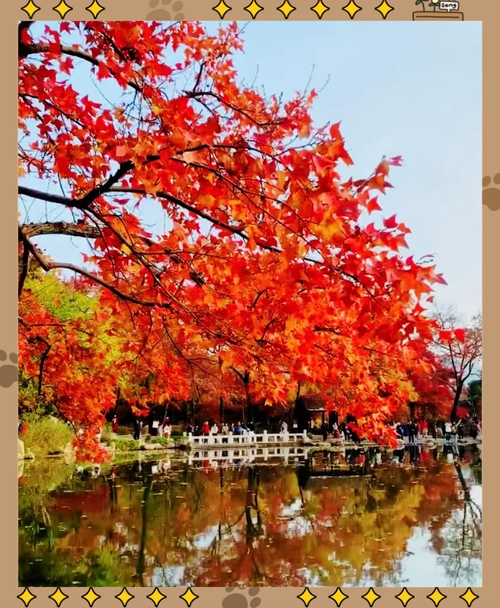 十二月份杭州穿什么衣服呢?