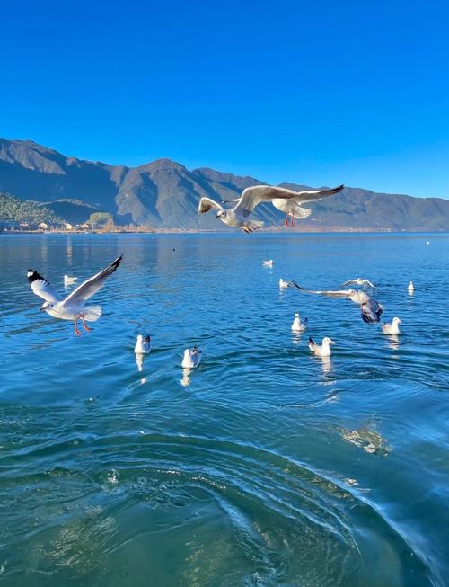 1月份去哪里旅游比较好