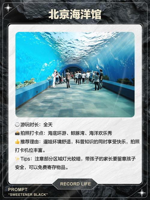 国内有哪些值得打卡的海洋公园?