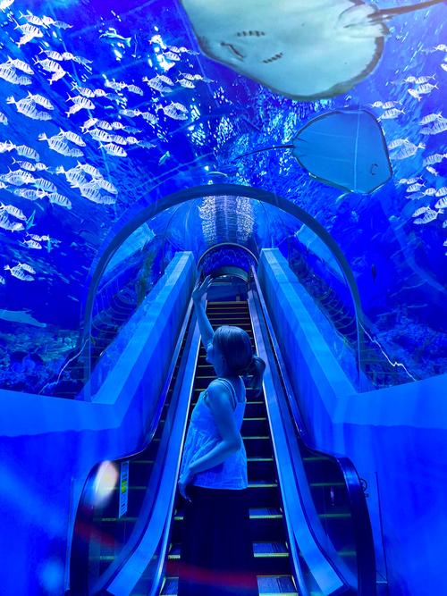 中国最大海洋馆排名前十