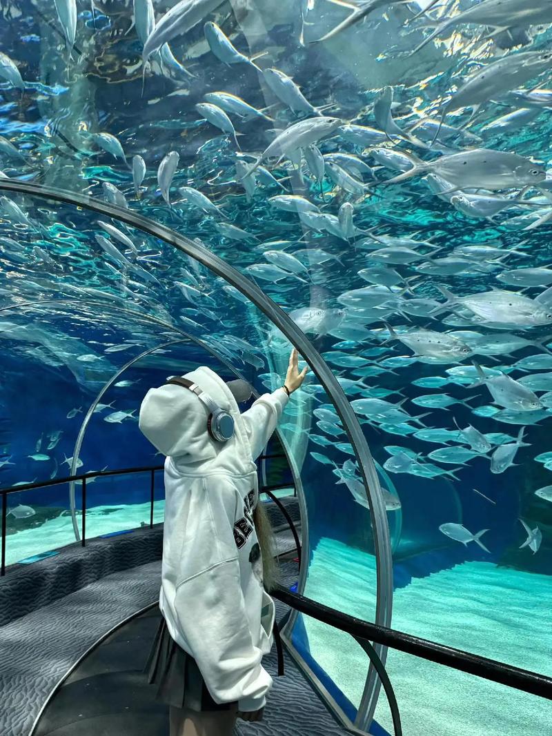 亚洲前十海洋馆排名?