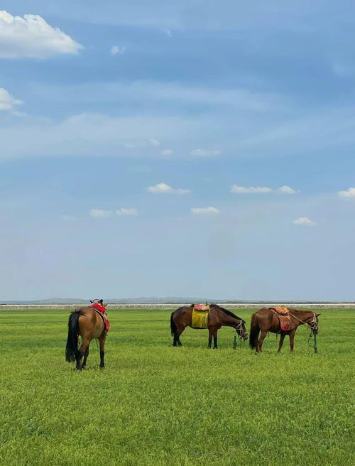 张北草原,旅游指南