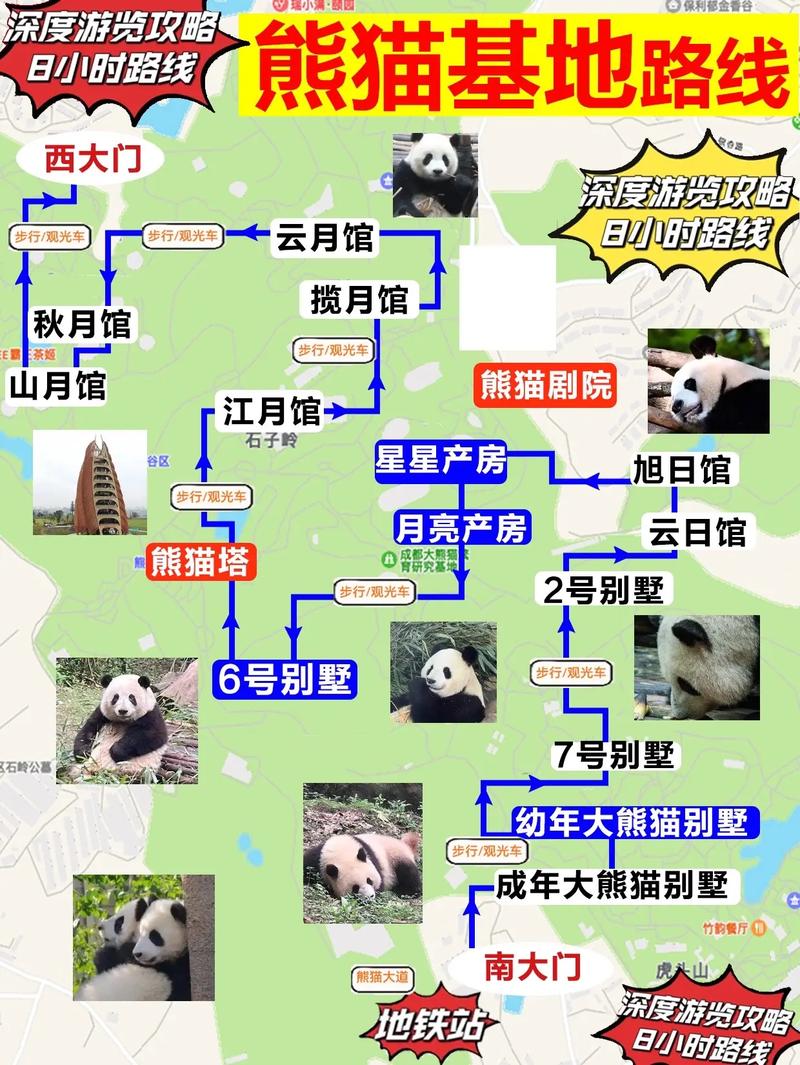 成都大熊猫基地门票多少钱一张