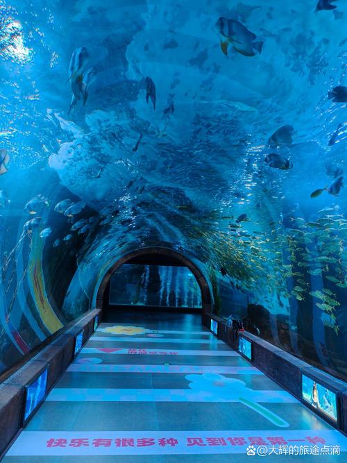 沈阳一日游景点大全集,有哪些必去景点推荐?