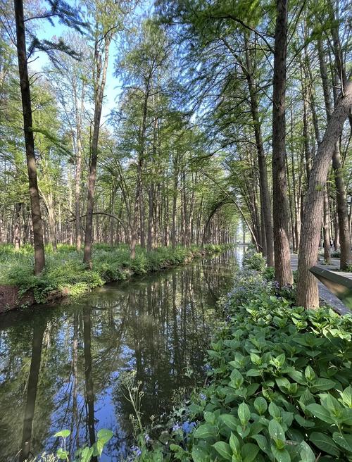 兴化水上森林公园门票优惠政策2024