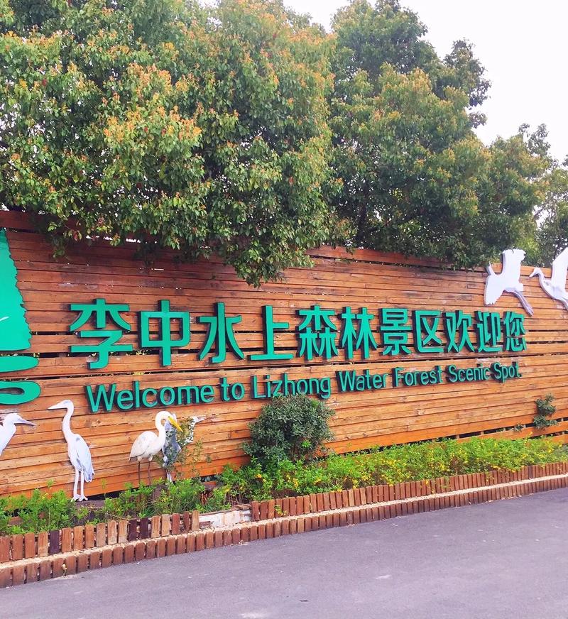 2024兴化水上森林公园门票多少钱