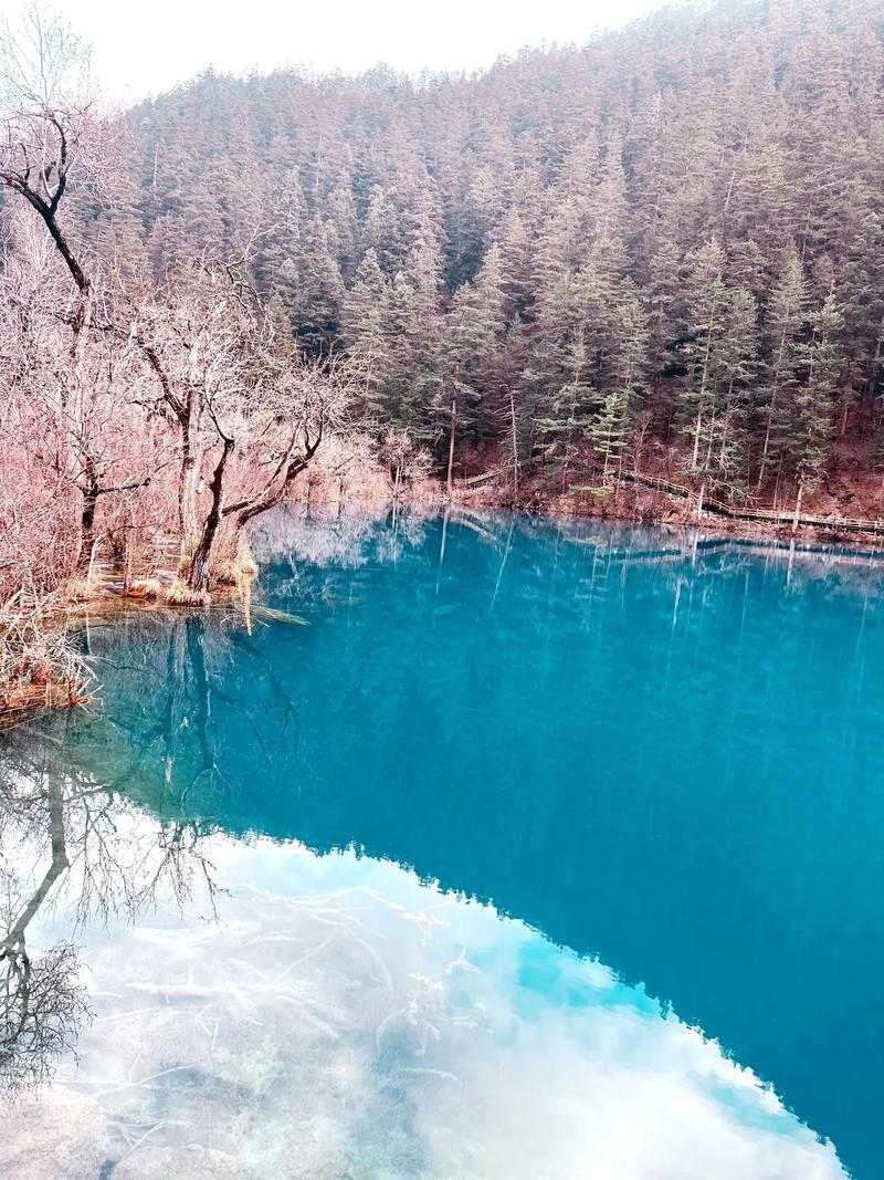 1月份适合旅游的地方国内