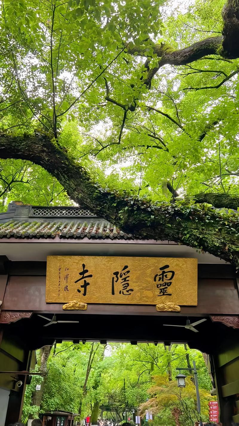 春天有哪些美丽的景象