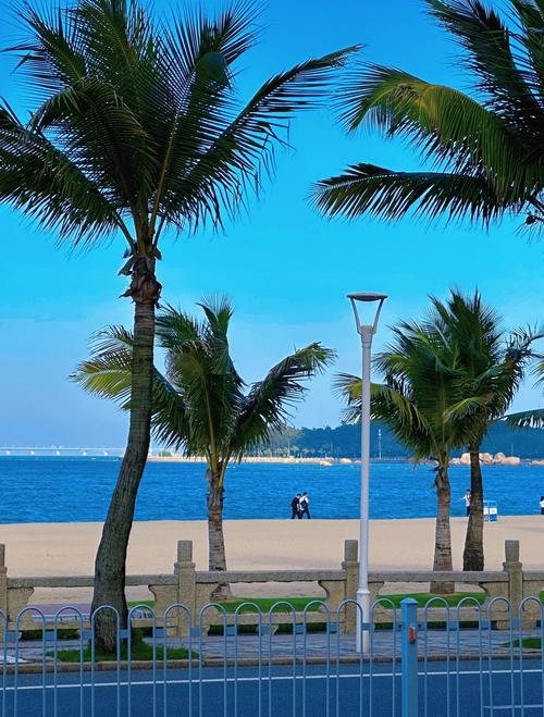 珠海前十免费海边景点推荐(珠海可以去哪里看海晚上)