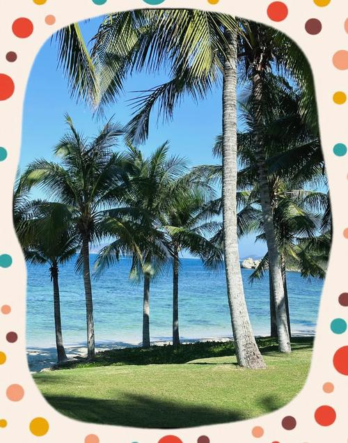 春节期间想去三亚玩,怎样玩又能玩好又省钱!望广大的朋友给点建议...