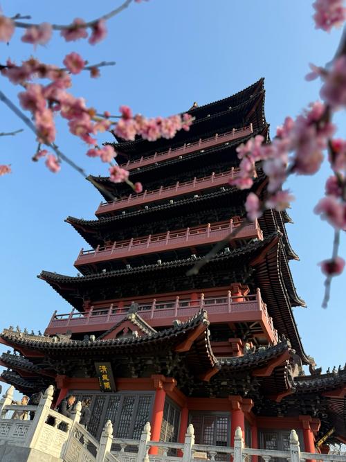 国内1月份适合旅游的地方有哪些?