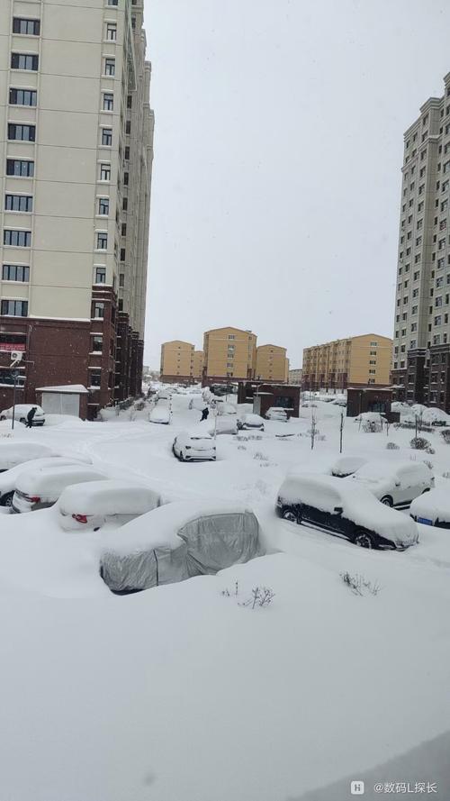 葫芦岛市绥中县西平乡有暴雪吗?