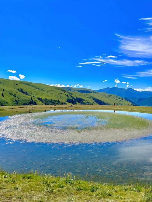 广东和平世界旅行社广东和平世界旅行社有限公司简介