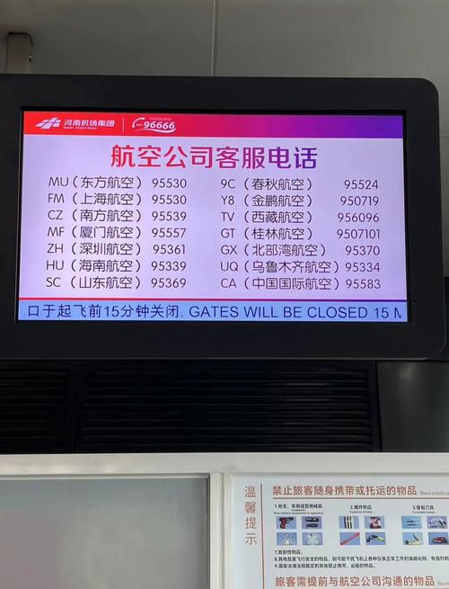 中国世界航空24小时服务热线