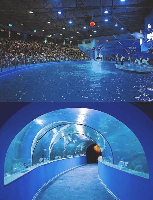 苏州海洋馆表演时间,苏州海洋馆当天门票