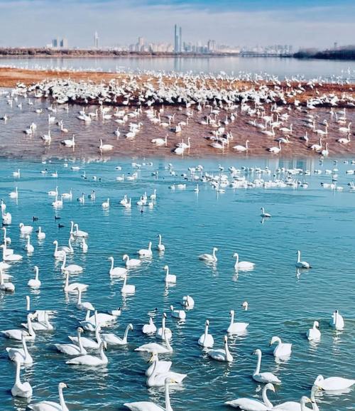 原三门峡陕州宾馆改为什么名字,三门峡景区是哪里管的酒店