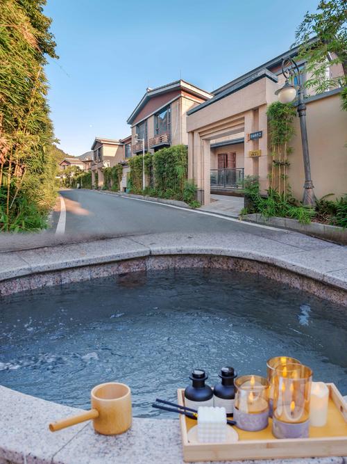 惠州林丰温泉景点概述