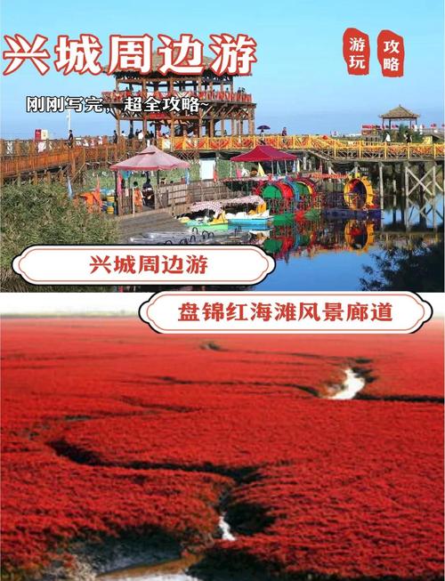 盘锦红海滩风景区的游玩攻略有哪些?