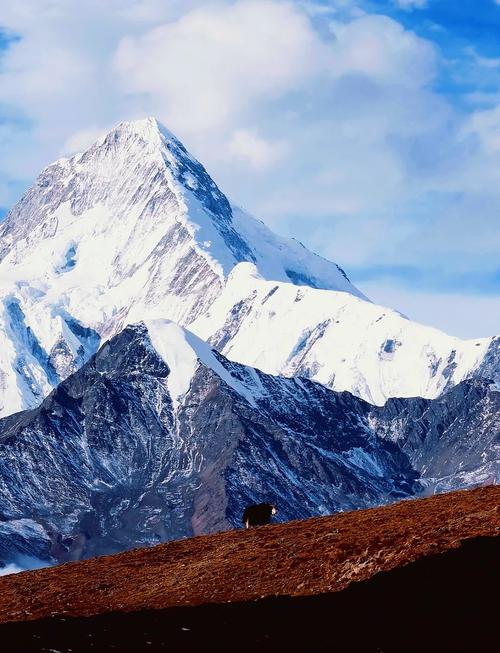 四川有名的雪山景点,四川哪些雪山好玩