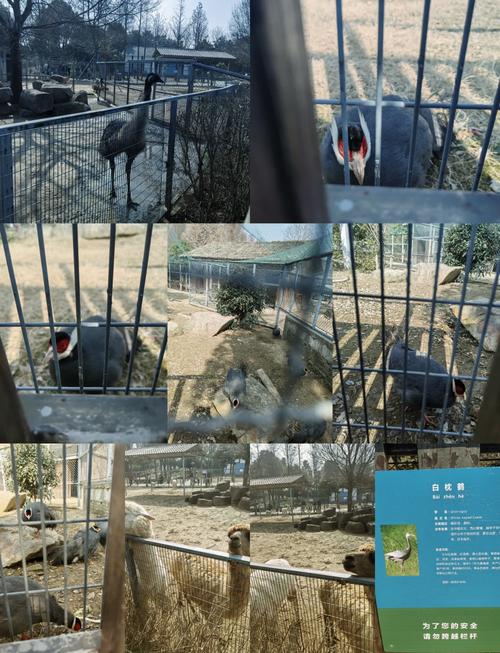 2022年苏州动物园免费开放日怎么预约